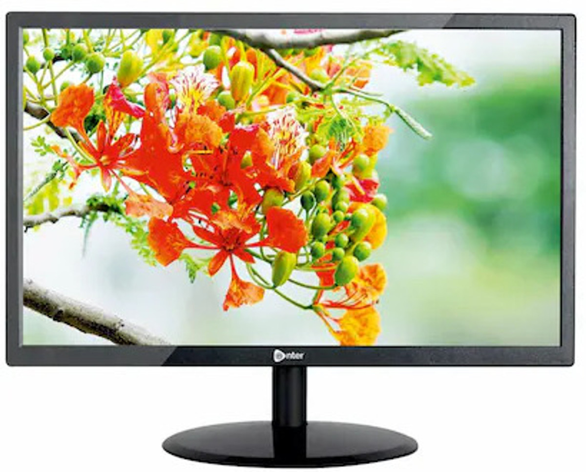 Enter 55.88 cm (22 inch) HD TN Panel Monitor