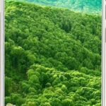 LYF Earth 1 (White, 32 GB) (3 GB RAM)